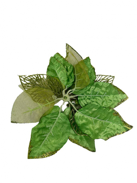Gwiazda betlejemska główka 21 cm zielona