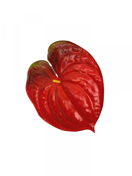 Anturium kwiat wyrobowy 14 cm czerwony