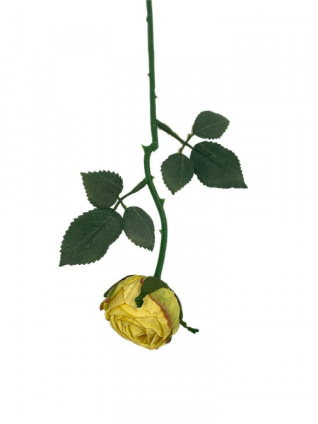 Róża gałązka 35 cm żółta
