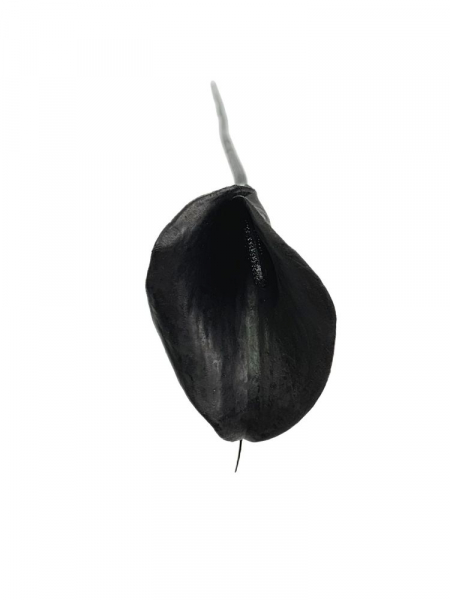 Kalia kwiat pojedynczy 58 cm czarna