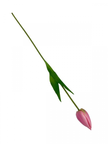 Tulipan kwiat pojedynczy 50 cm różowy