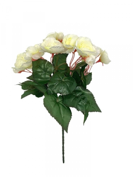 Begonia bukiet 31 cm kremowa