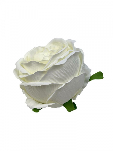 Róża główka 11 cm kremowa