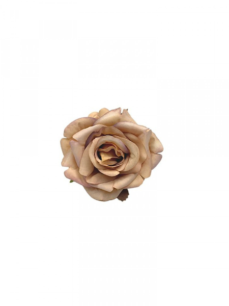 Róża matowa główka 6 cm zgaszona brzoskiwnia