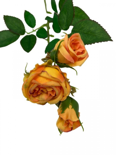 Róża kwiat pojedynczy 37,5 cm herbaciana