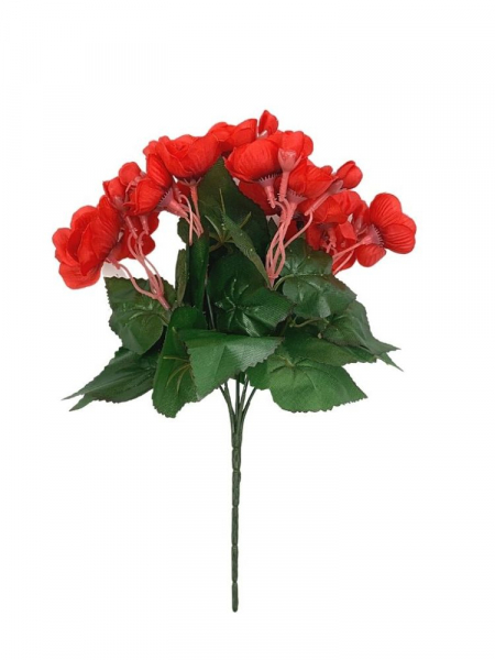 Begonia bukiet 31 cm czerwona