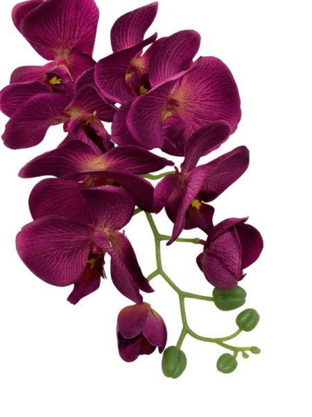 Storczyk kwiat pojedynczy 100 cm purpurowy