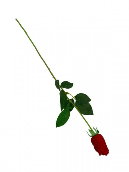 Róża kwiat pojedynczy 67 cm czerwona