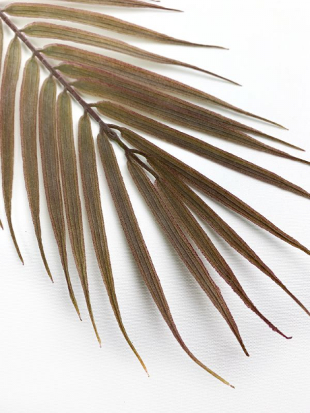 Liść palmy 61 cm zielony z fioletem