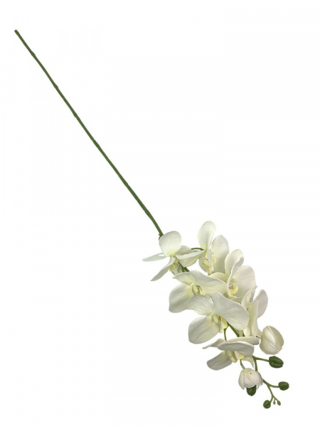 Storczyk kwiat pojedynczy 100 cm kremowy