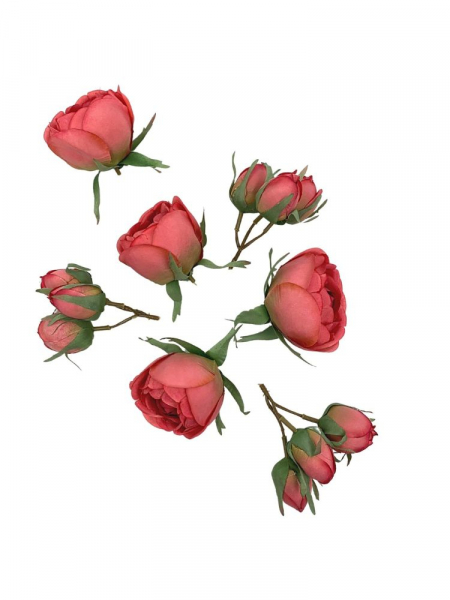 Róża główka komplet różowy