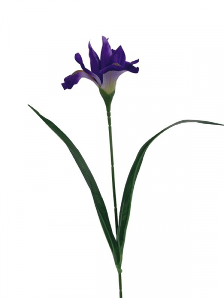 Irys gałązka 65 cm ciemny fiolet