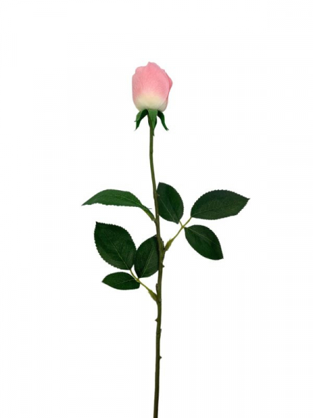 Róża kwiat pojedynczy 67 cm jasno różowa