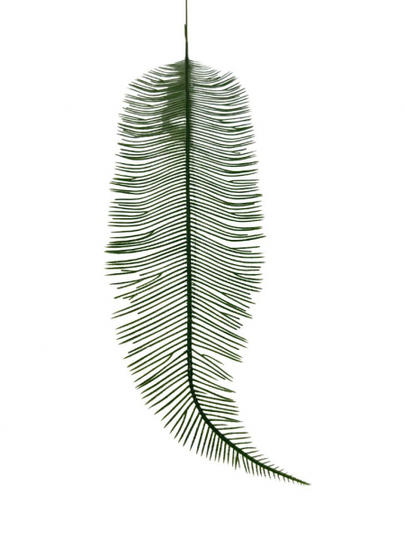 Liść palmy paproci 54 cm zielony