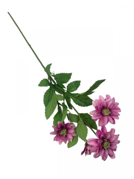 Margaretka kwiat pojedynczy 74 cm różowa