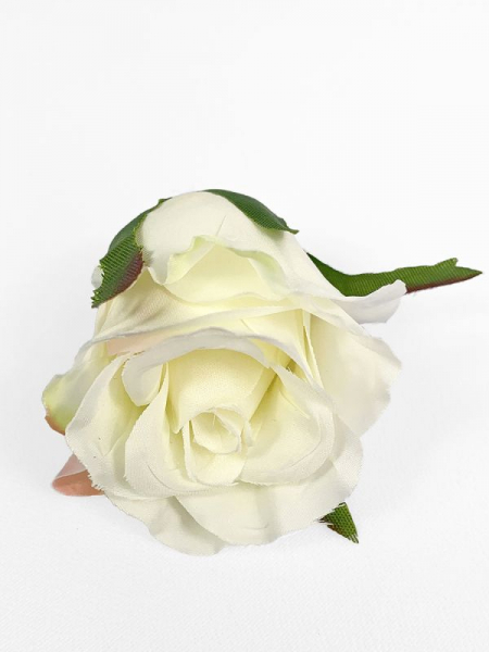 Róża główka 5 cm kremowa z jasną zielenią