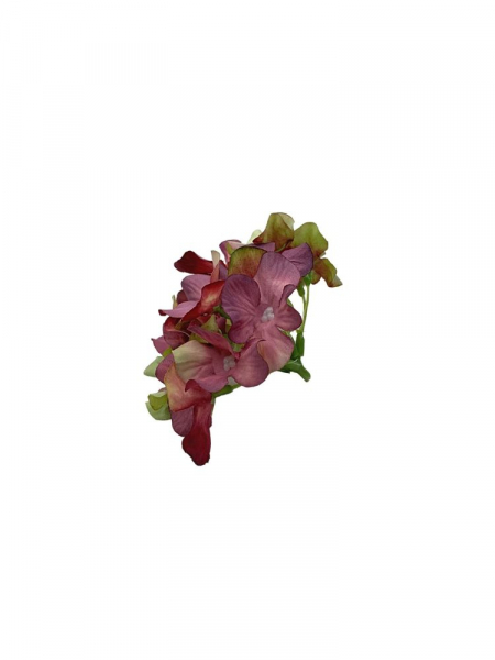 Hortensja główka 13 cm brudny róż z jasną zielenią