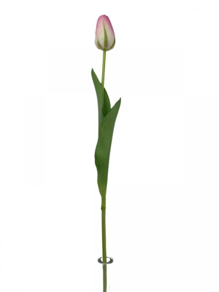 Tulipan kwiat pojedynczy 67 cm różowy