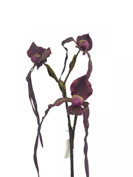 Orchidea kwiat pojedynczy 76 cm bordowa z zielenią