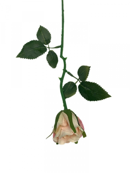 Róża gałązka 35 cm brzoskwiniowa