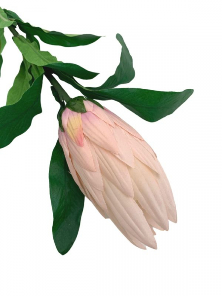 Protea gałązka 70 cm jasny róż
