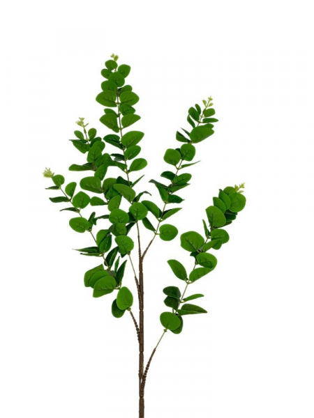 Eukaliptus gumowany gałązka 96 cm zielony