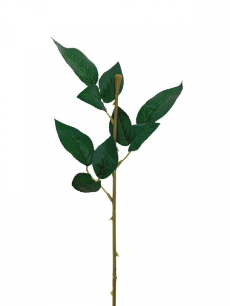 Łodyga do róży 63 cm zielony