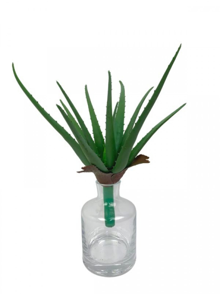 Aloes 38 cm zielony