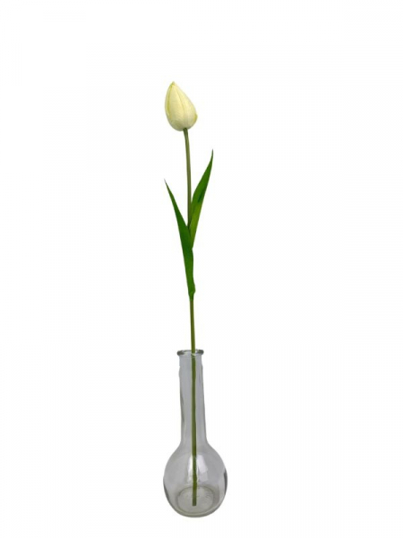 Tulipan kwiat pojedynczy 50 cm kremowy