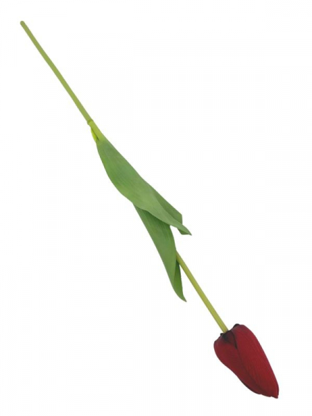 Tulipan kwiat pojedynczy 67 cm czerwony