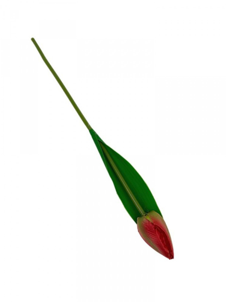 Tulipan gałązka 35 cm czerwony