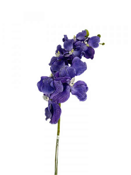 Storczyk Vanda gałązka 98 cm niebiesko fioletowy