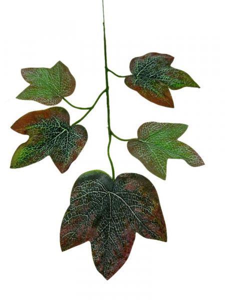 Bluszcz gałązka liści 52 cm kolorowy