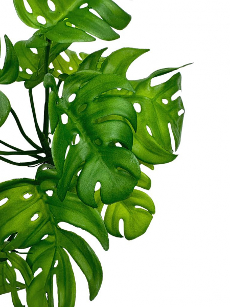 Monstera gumowana bukiet pik 31 cm zielona