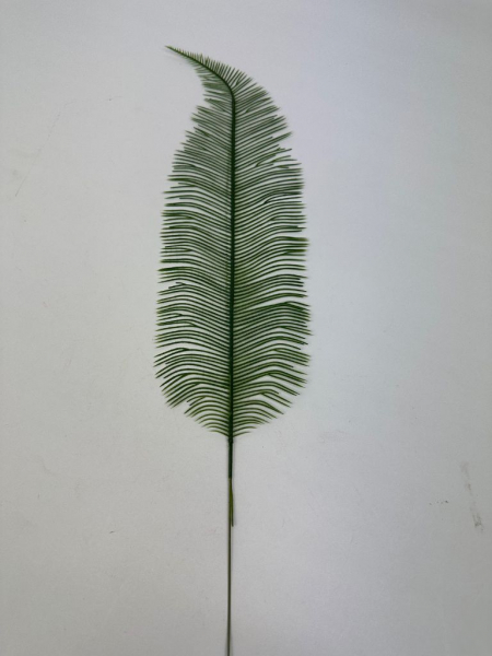 Liść palmy paproci 54 cm zielony