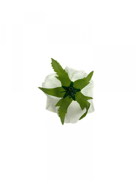 Róża główka 6 cm kremowa z jasno zielonym