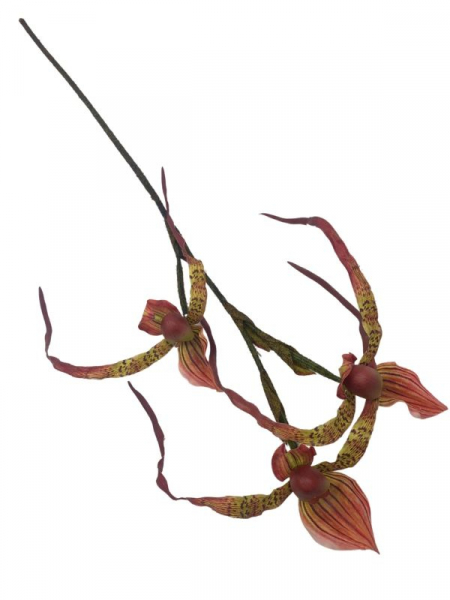 Orchidea kwiat pojedynczy 76 cm różowa z zielenią