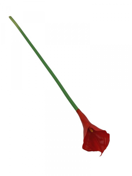 Kalia kwiat pojedynczy 71 cm czerwona