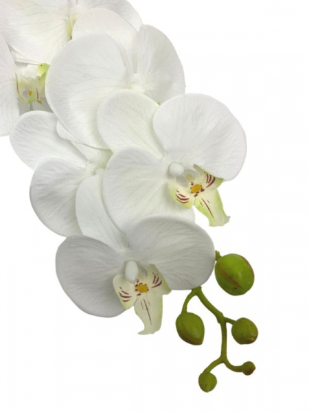 Storczyk kwiat pojedynczy 90 cm biały