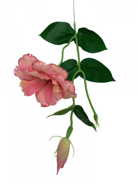 Eustoma gałązka 48 cm brudny róż