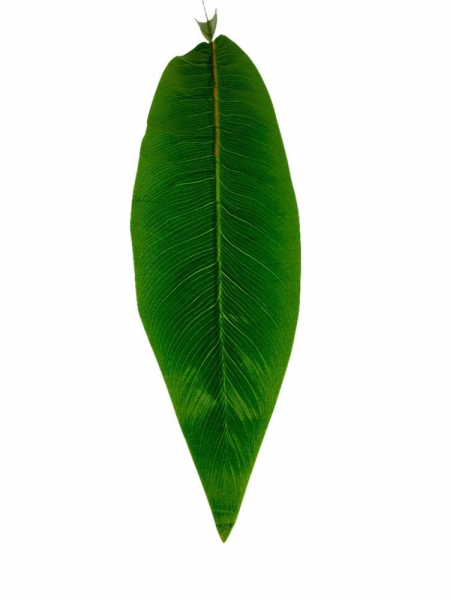 Liść gumowany 82 cm zielony