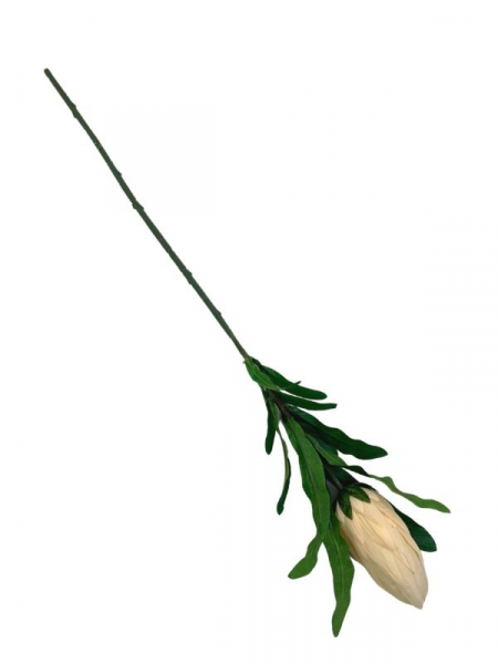 Protea gałązka 70 cm ciemno waniliowa