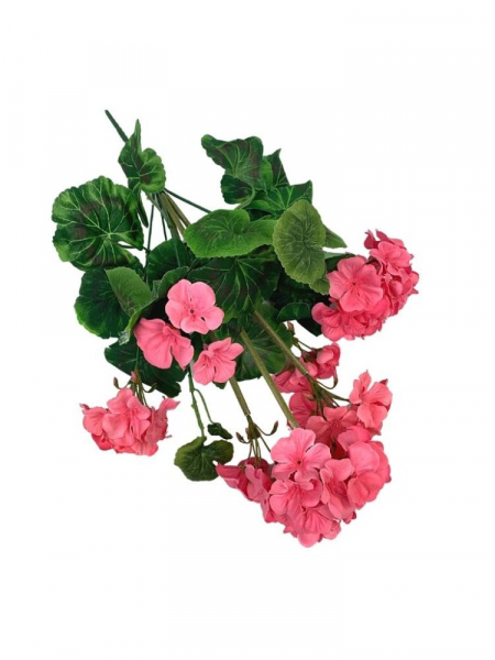Pelargonia bukiet 45 cm cukierkowy róż