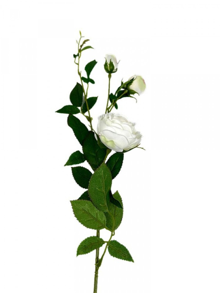 Róża gałązka 70 cm ecru