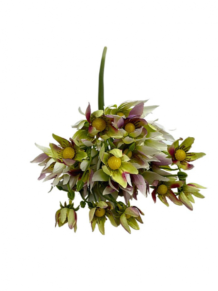 Czosnek kwitnący łodyga 57 cm biały z zielonym i fioletem