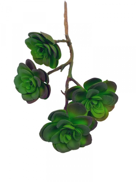 Sukulent 33 cm zielony omszony z fioletem