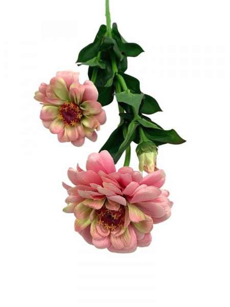 Cynia gałązka 62 cm różowa z zielenią