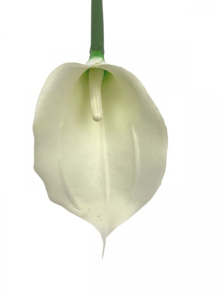 Kalia kwiat pojedynczy 73 cm kremowa
