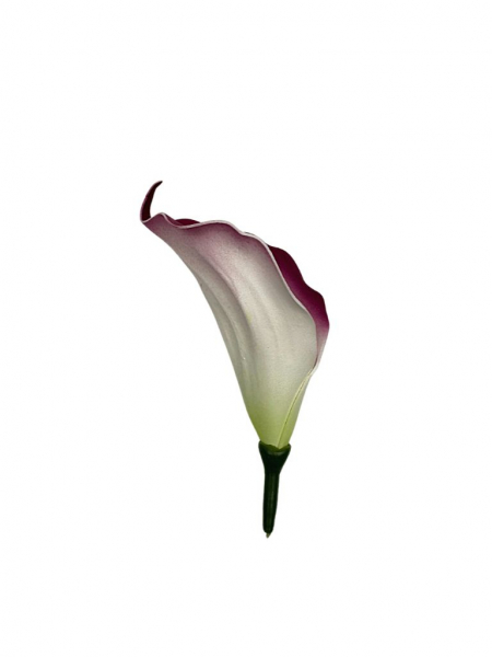 Kalia główka 15 cm ciemny róż z białym