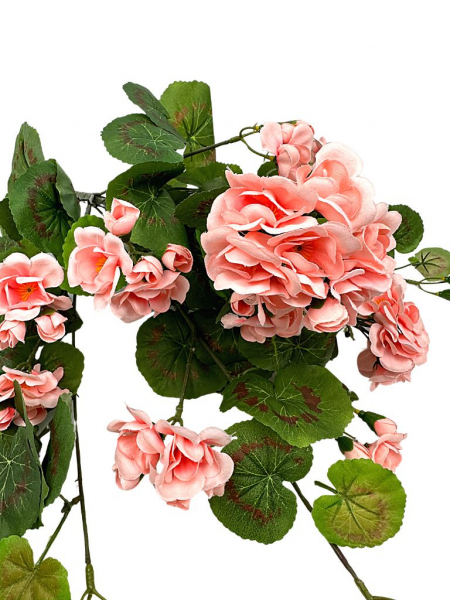 Pelargonia bukiet 52 cm pudrowy róż